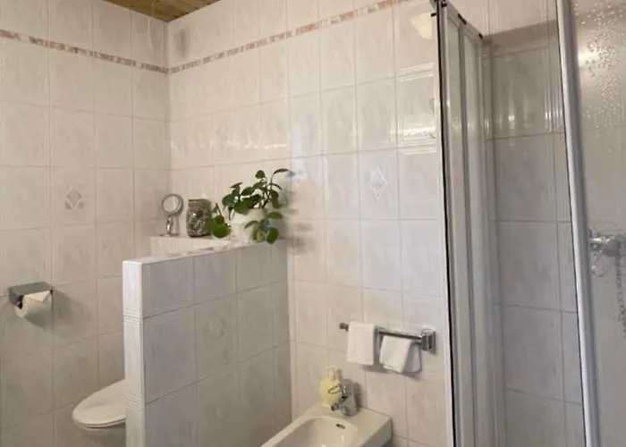 Διαμέρισμα Edelweiss *